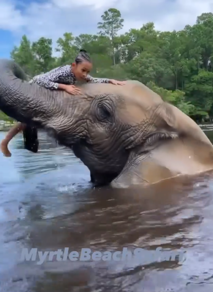 Chris Brown's Daughter Was In DANGER Riding Elephant, PETA Wants Investigation