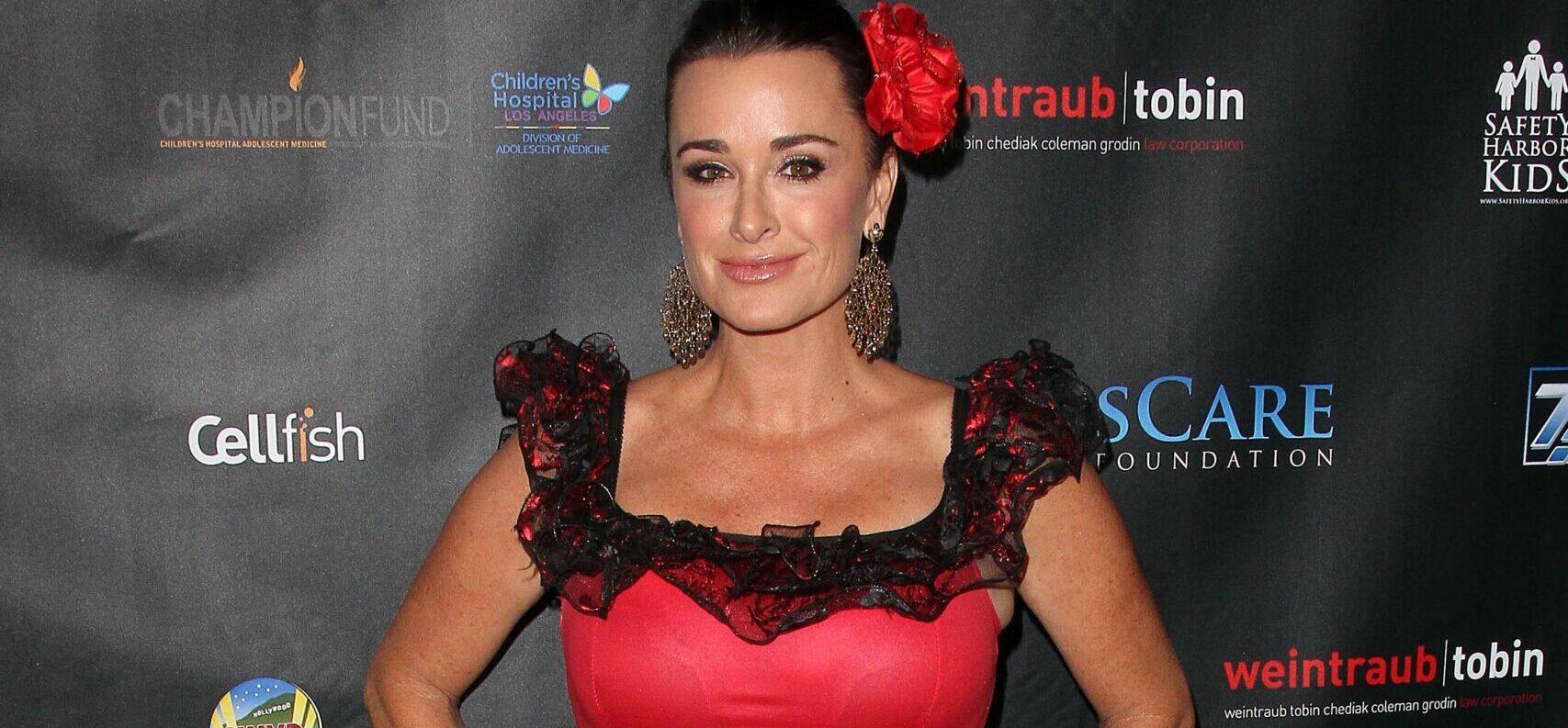 'RHOBH' Star Kyle Richards Frantic 911 Call After Being Swarmed By Bees!
