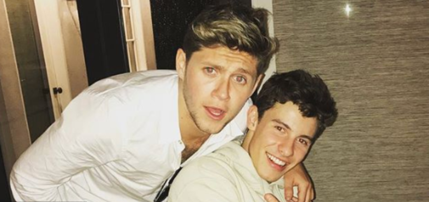 Niall Horan and Shawn Mendes posing together