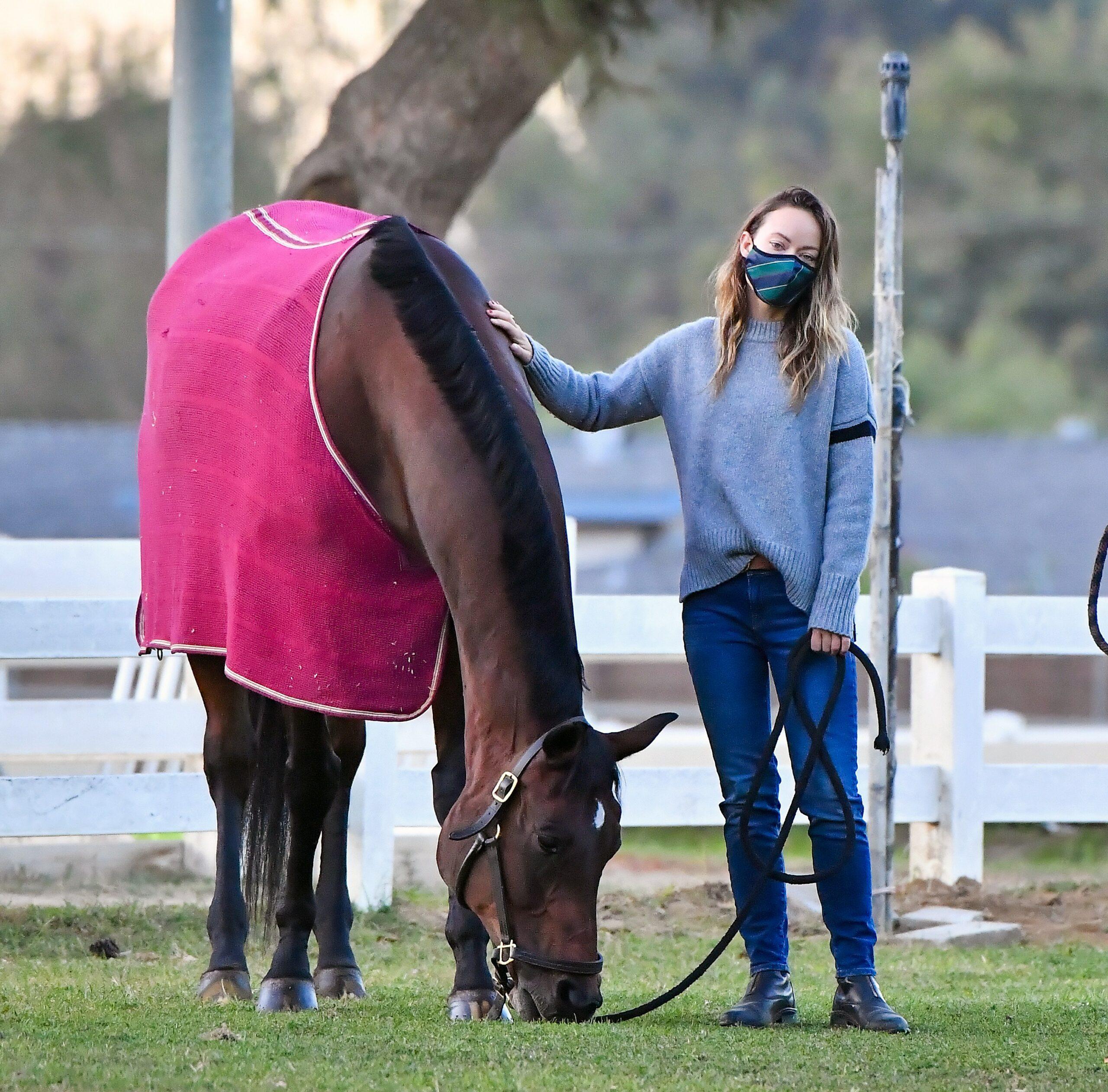 Newly Single Olivia Wilde stops by a horse stable in Los Angeles