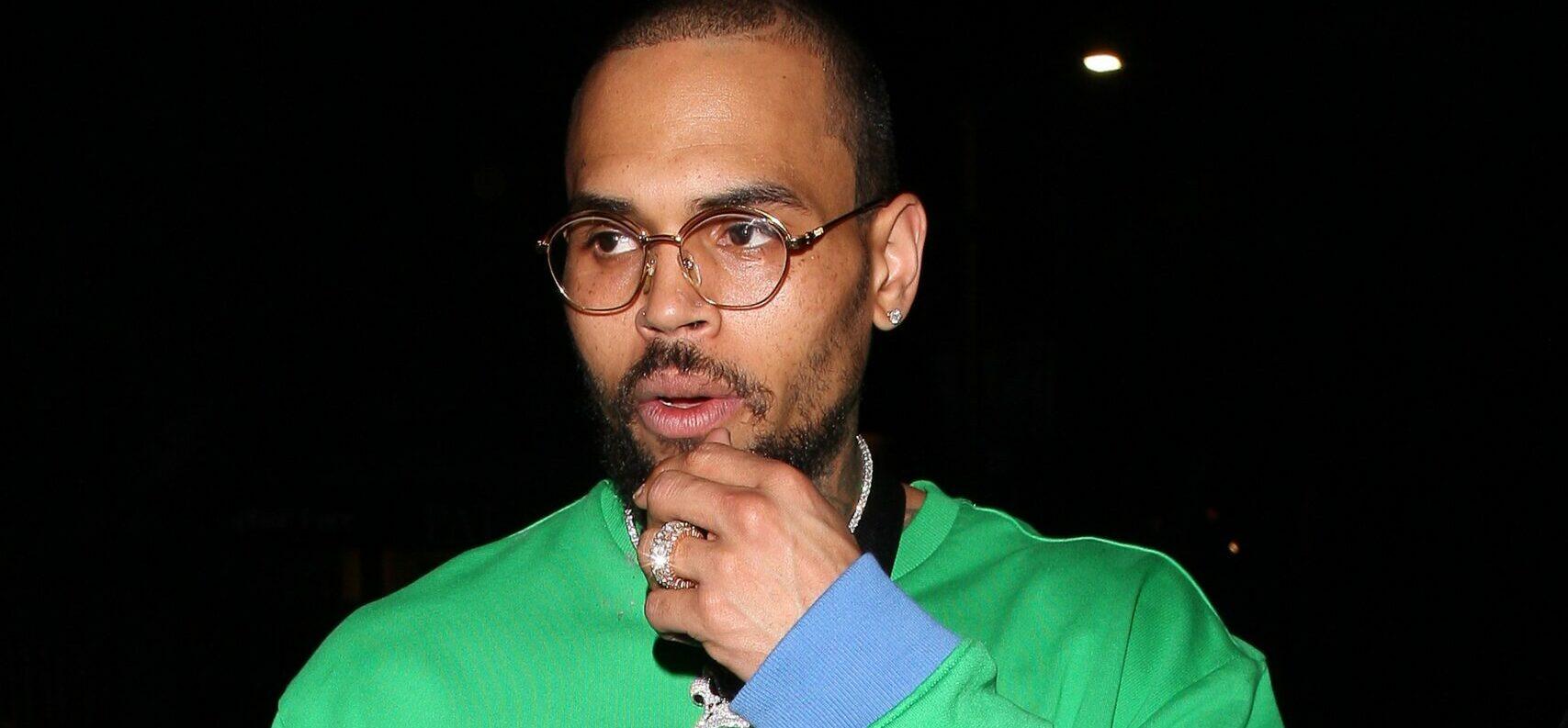 Chris Brown’s Alleged Dog Bite Victim’s Family Seeking Over $1 MILLION In Damages