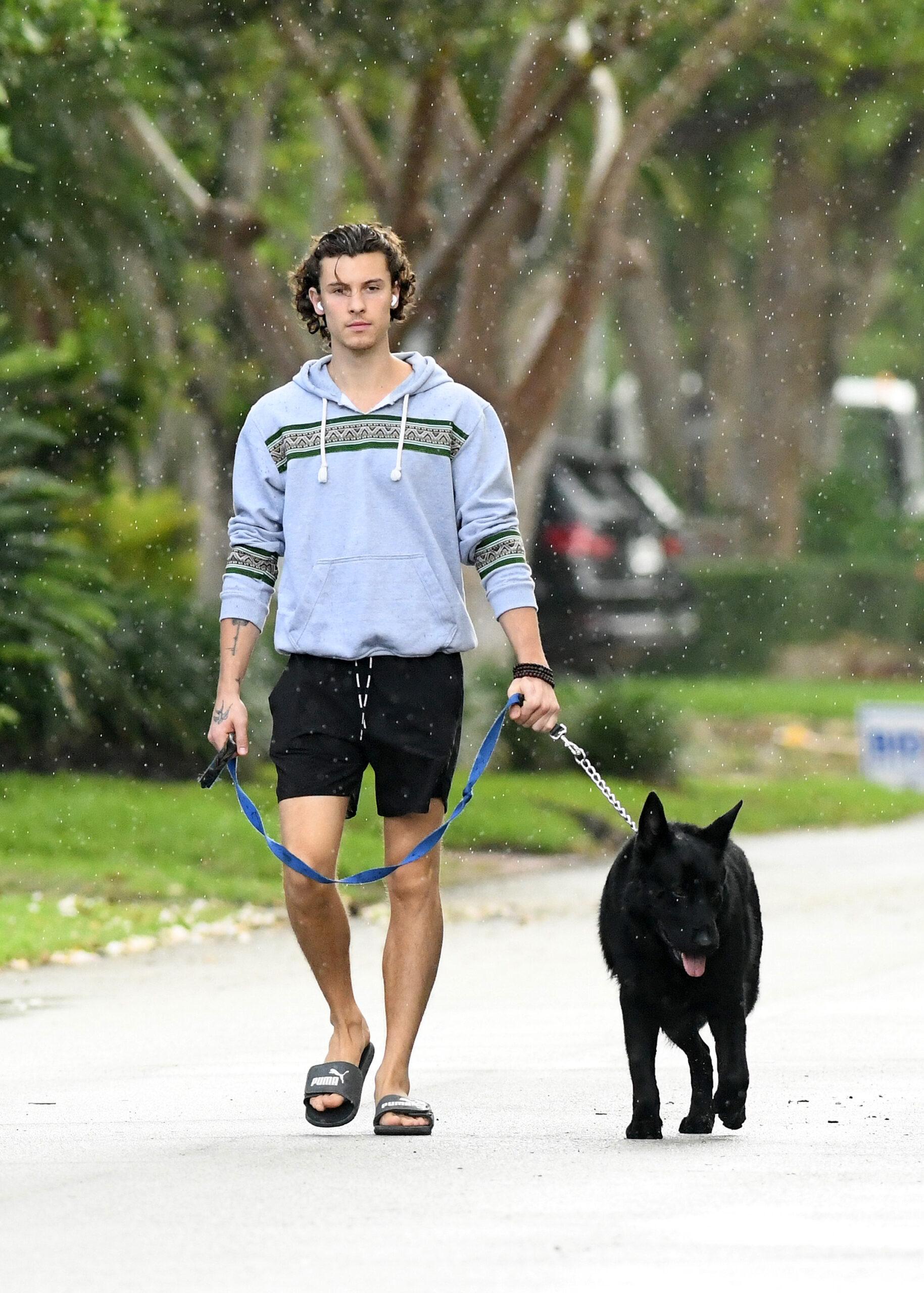 Shawn Mendes takes dog for morning walk at girlfriend Camila Cabello apos s home in Miami