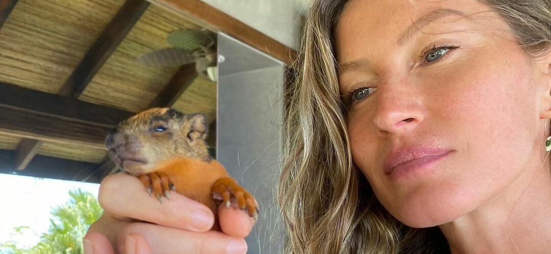 Gisele Bündchen tends to an injured baby squirrel