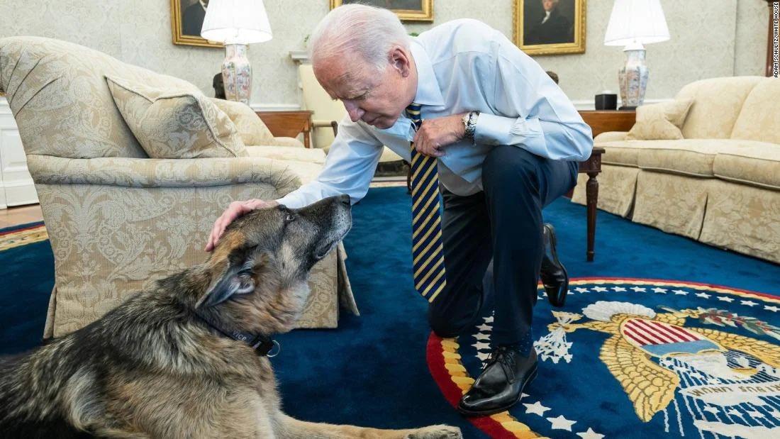 Joe Biden and Champ