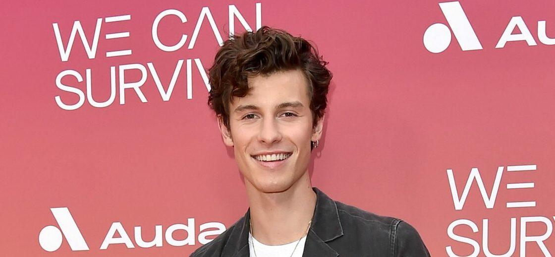 Shawn Mendes at the 8th Annual "We Can Survive" Concert