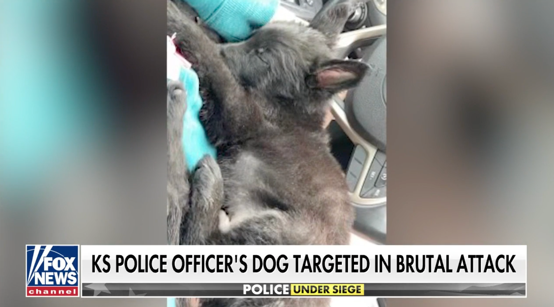 Kansas Police Officer’s 3-Month-Old Puppy Brutally Murdered In Targeted Attack 