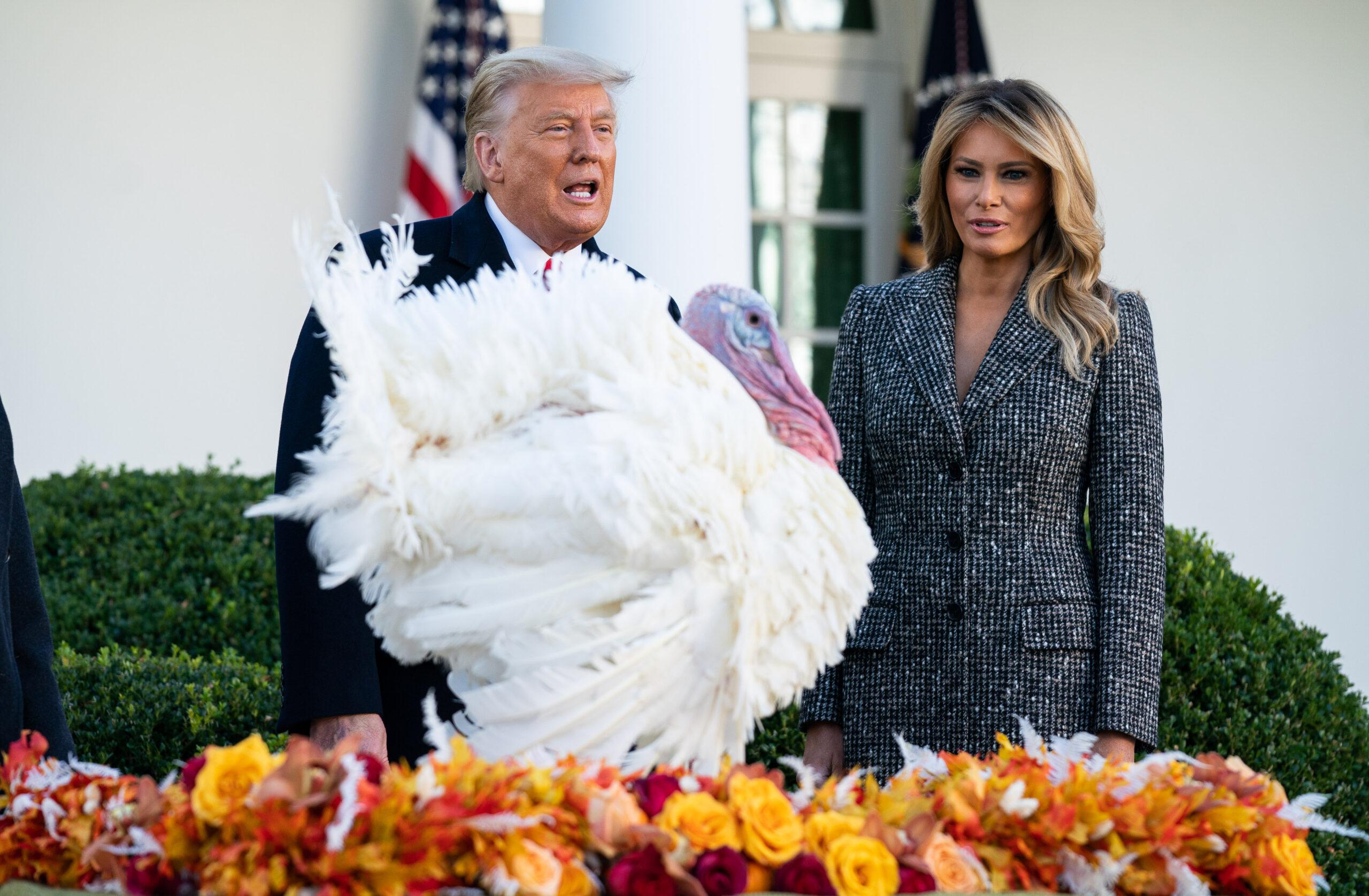 President Trump Pardons the National Thanksgiving Turkey in Washington DC