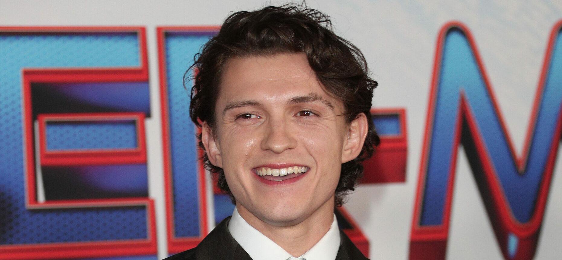 Tom Holland at the Spider-Man: No Way Home