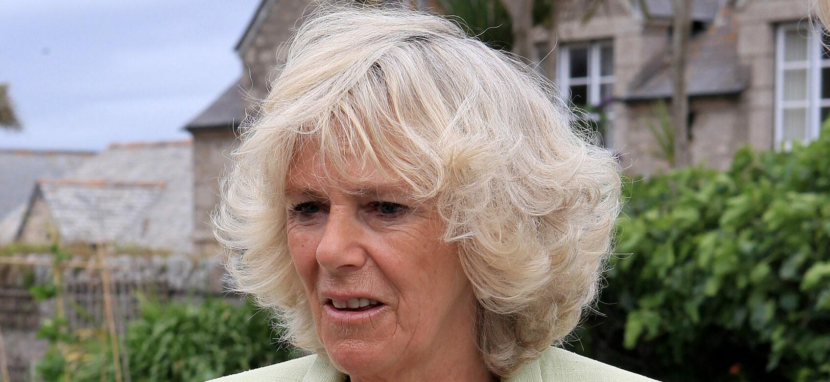 Camilla Duchess of Cornwall smiles as she visits the allotments on St Michael's Mount on July 12, 2010 in Marazion, United Kingdom. The Prince and Duchess are on their annual two day trip to Cornwall.