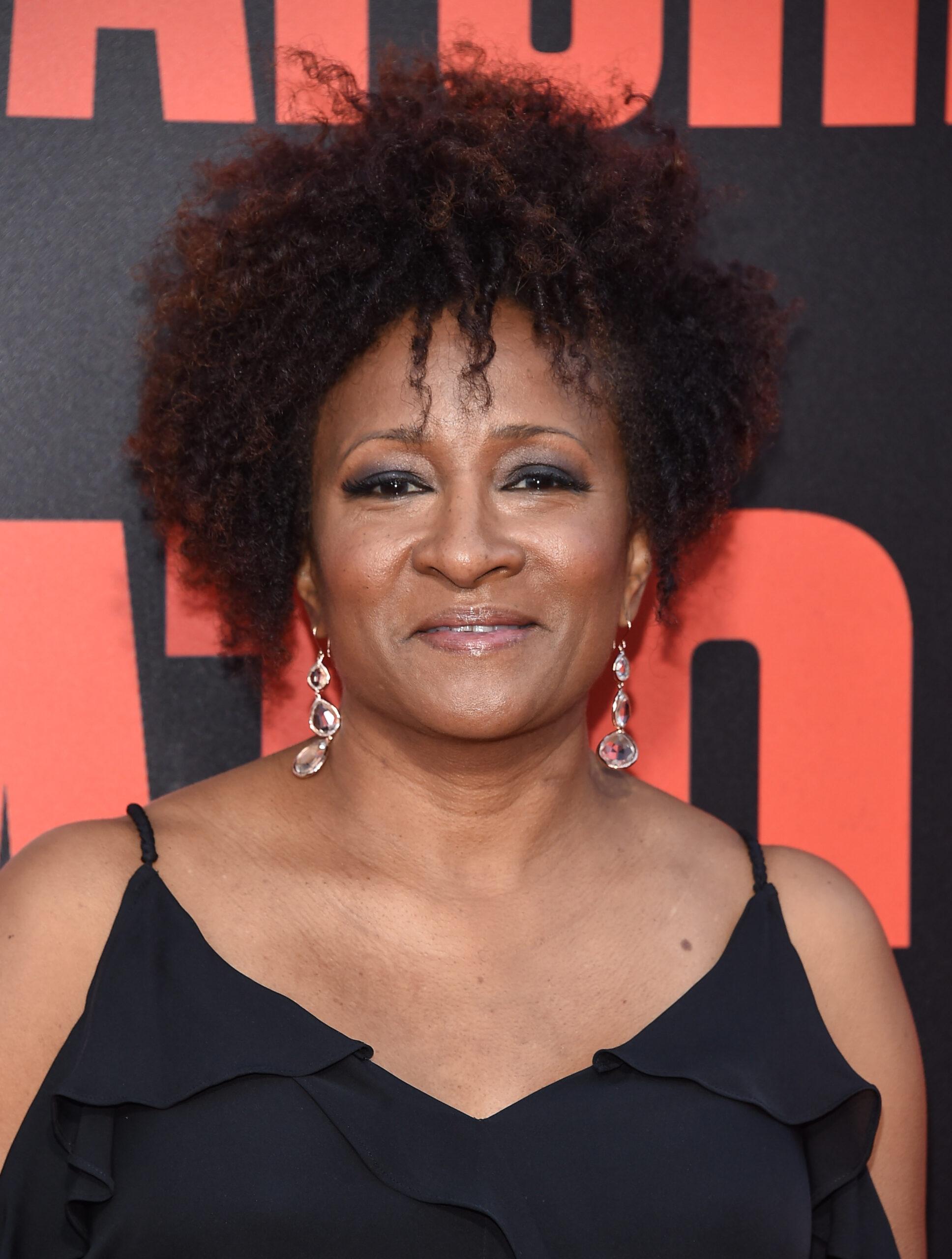 Wanda Sykes at the 'Snatched' World Premiere