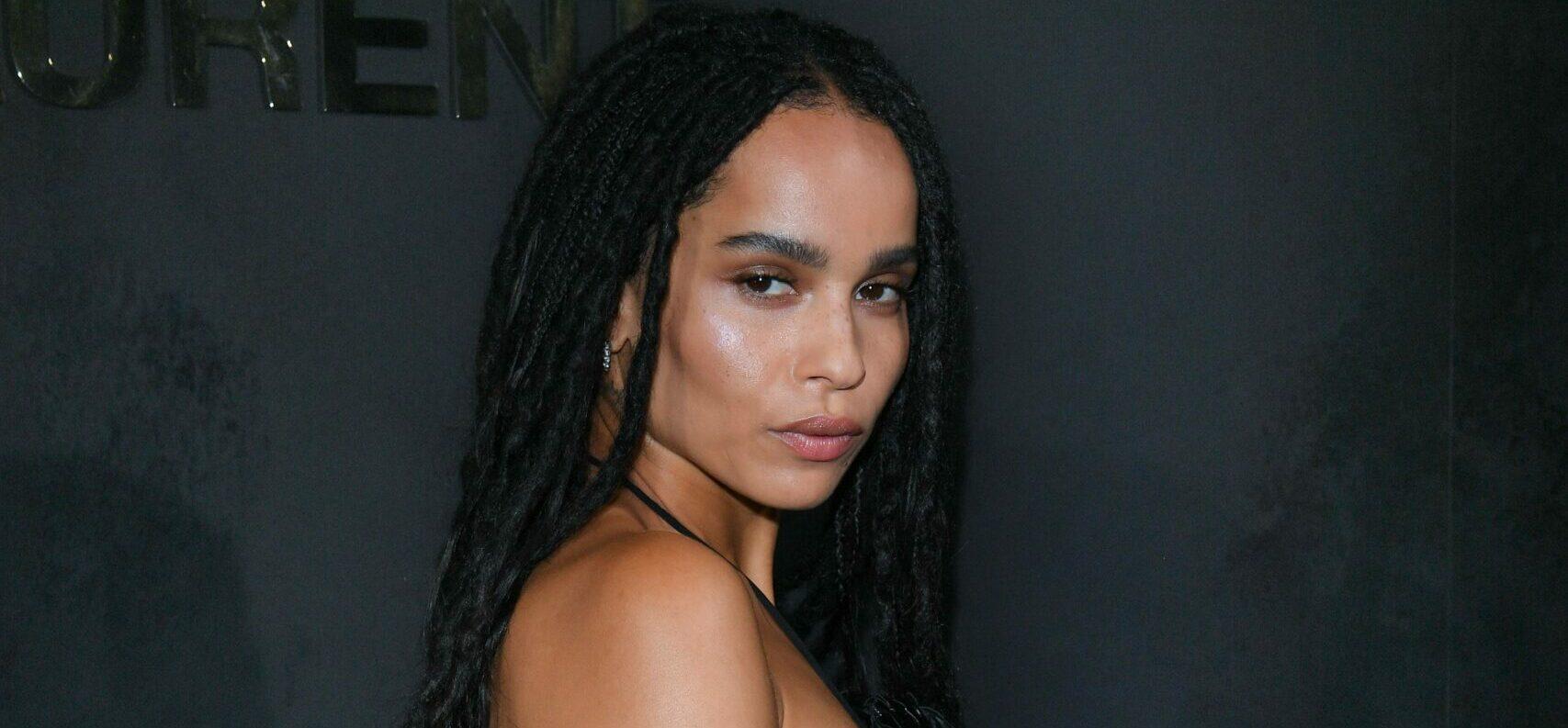 Zoë Kravitz Has Reportedly Filed for Divorce From Karl Glusman 18 after their wedding in Paris