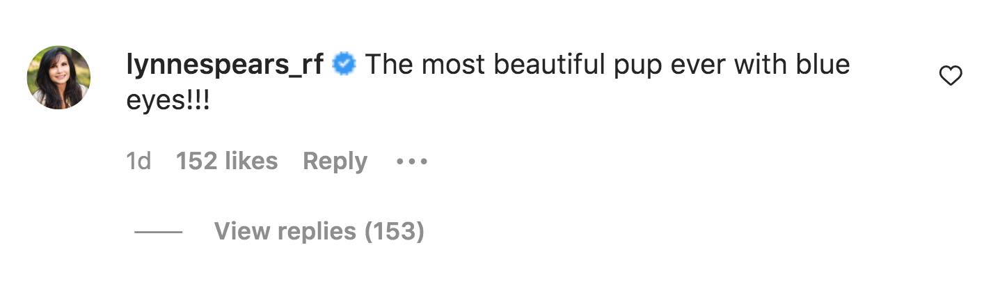 Lynne Spears' comment on Britney Spears' post