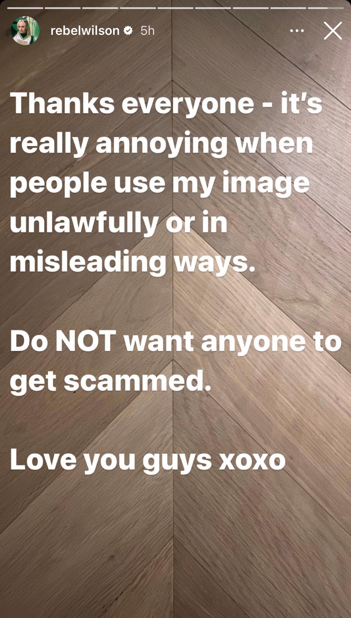 Rebel Wilson's post on her Instagram story