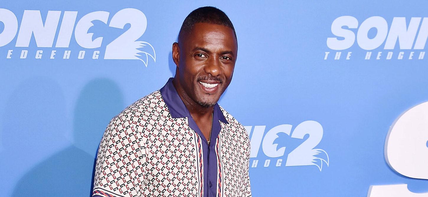 Idris Elba 'Sonic The Hedgehog 2' LA Film Premiere
