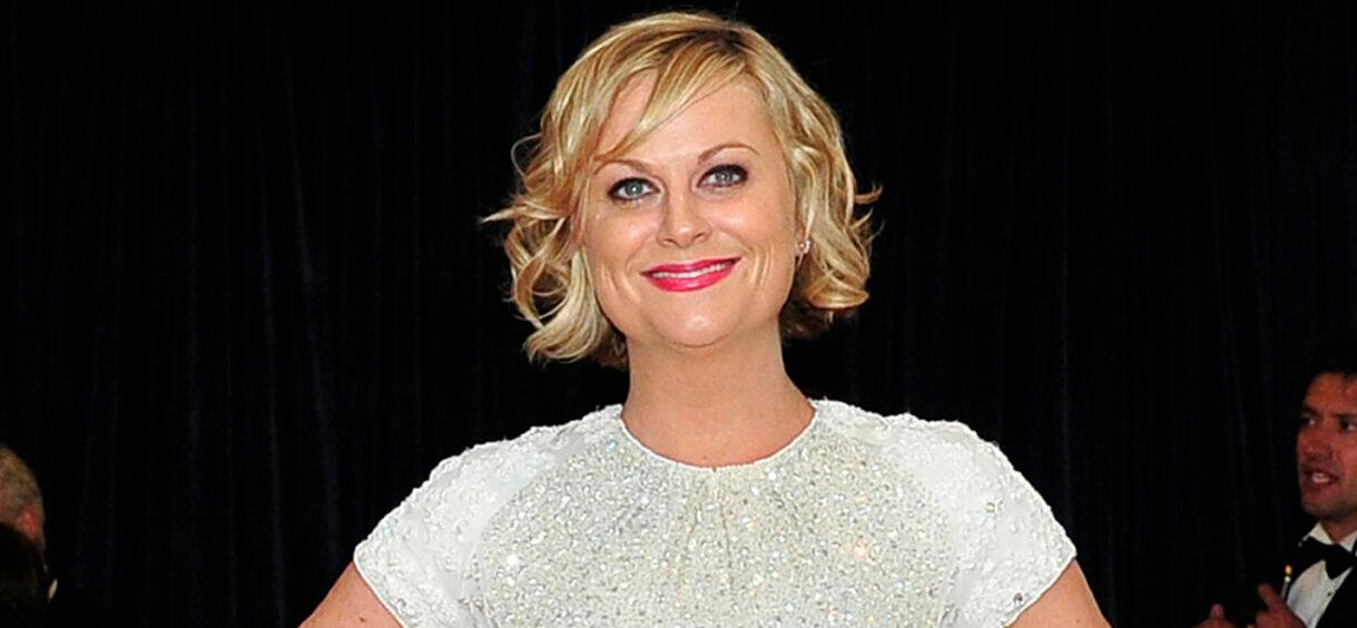 Amy Poehler At The 2013 White House Correspondents Dinner Arrivals