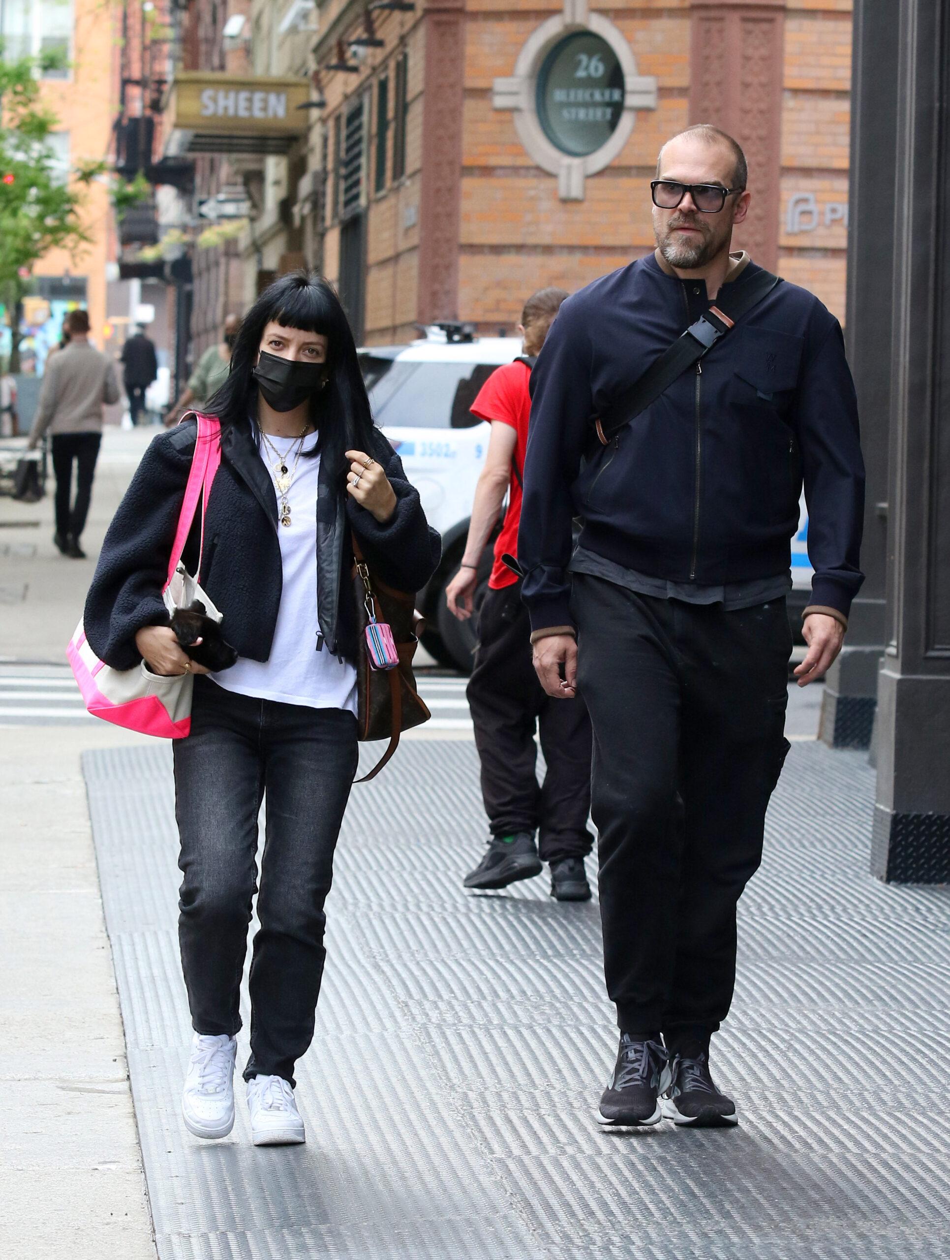 Lily Allen and husband David Harbour go out for a walk with their new puppy quot Mary quot inside a bag in NYC