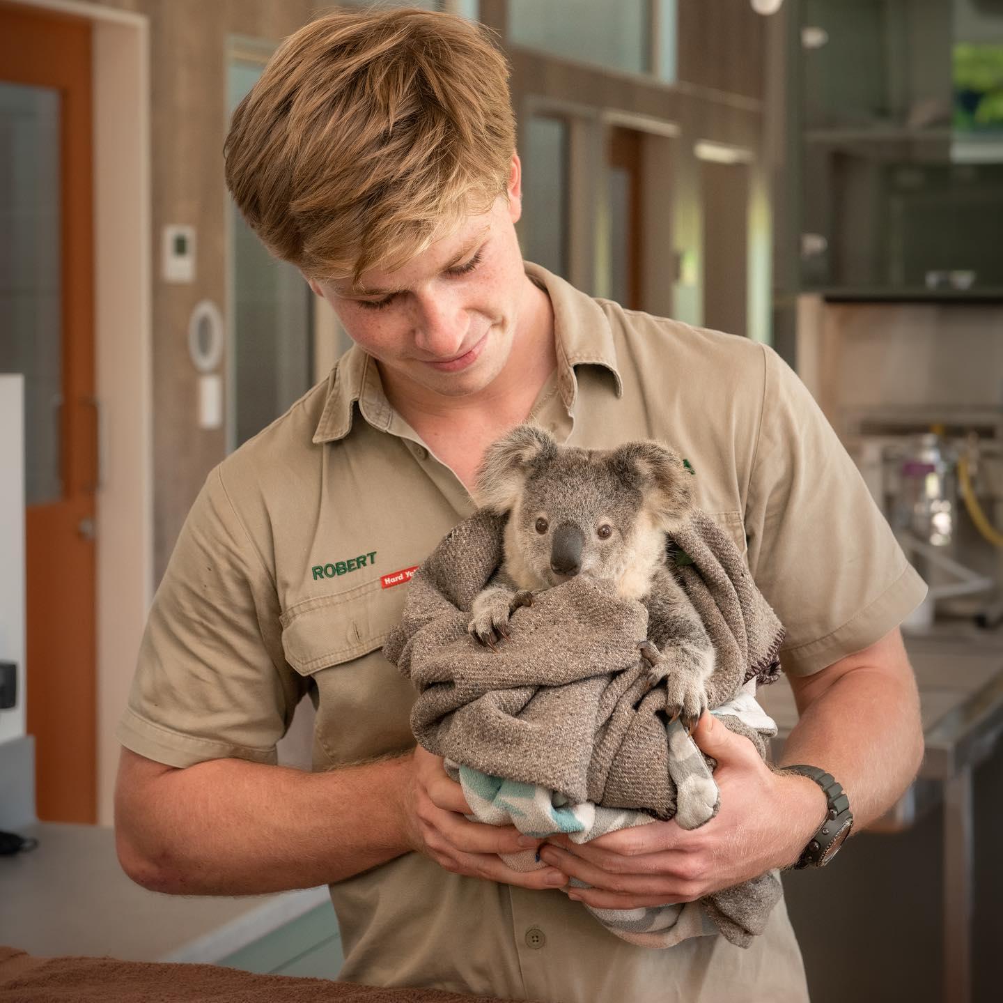 Robert Irwin and a koala at the Australia Zoo