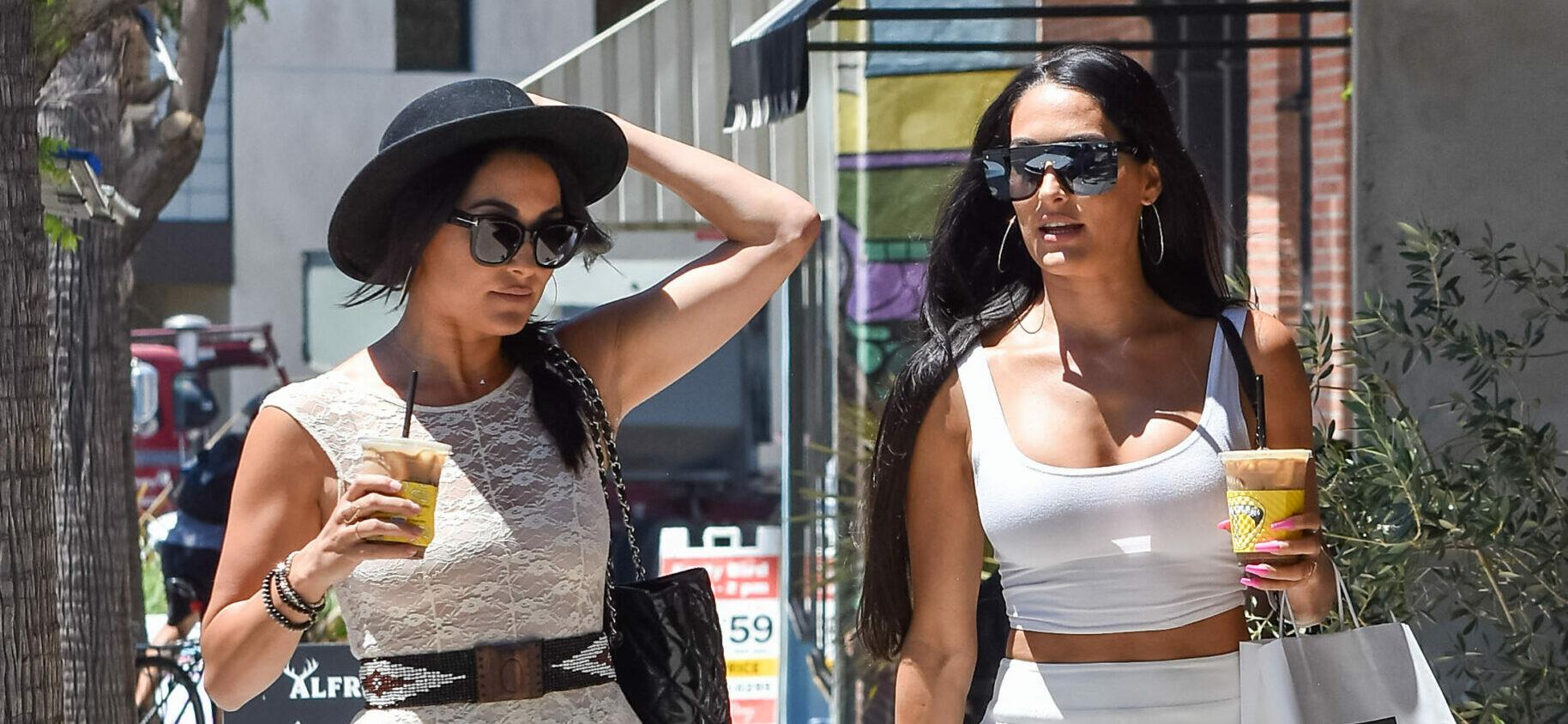 The Bella Twins go out for iced coffee