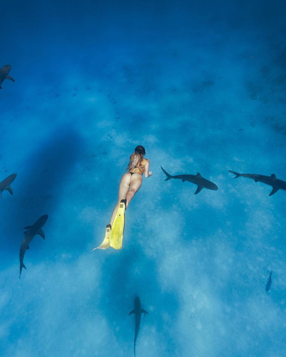 Corinna Kopf swimming with sharks.