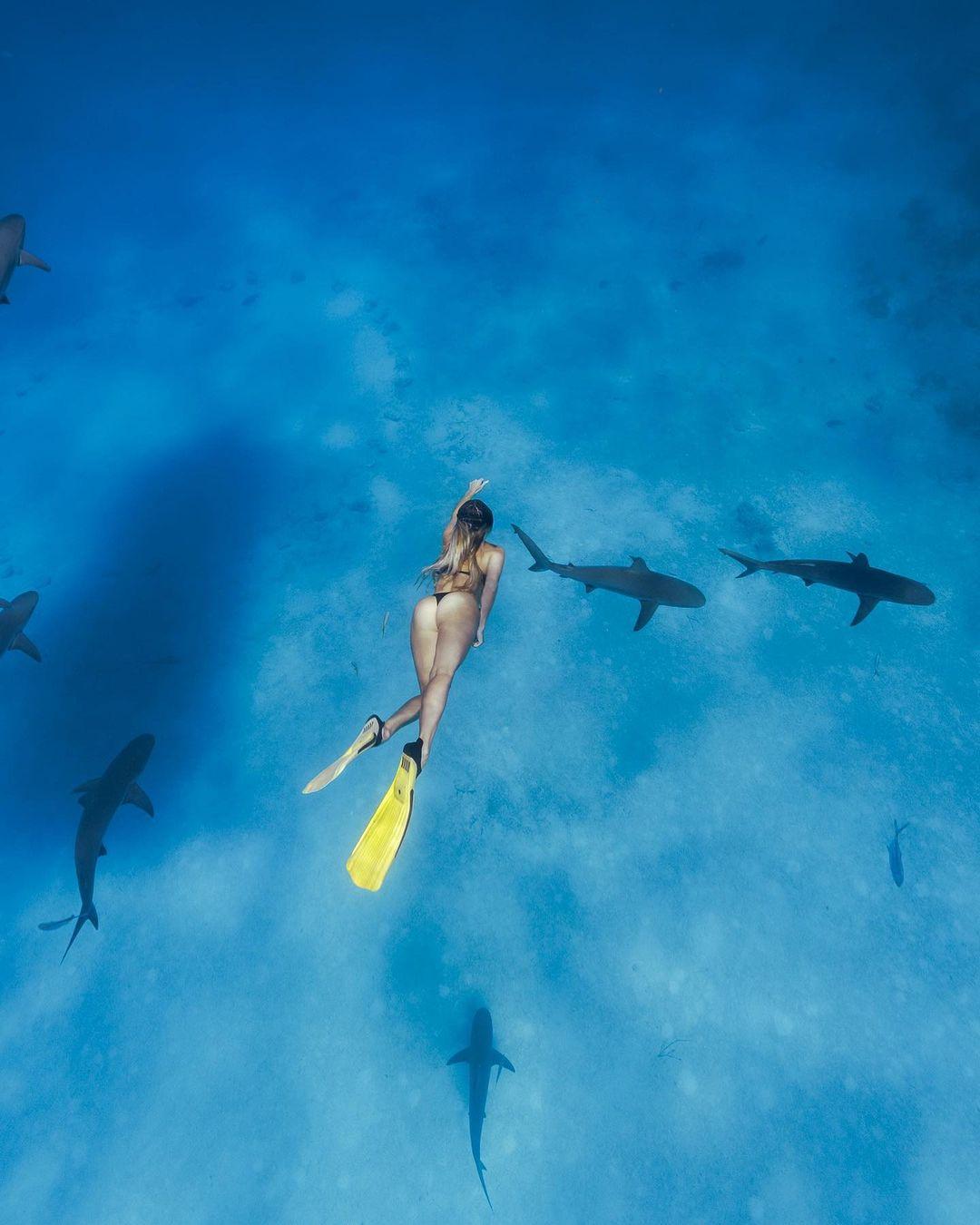 Corinna Kopf swimming with sharks.