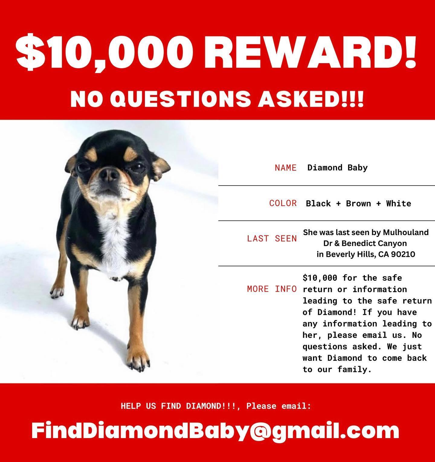 Paris Hilton's reward poster to find Diamond Baby
