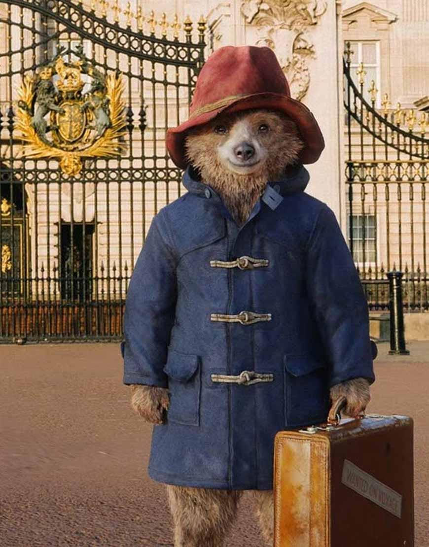 Paddington Bear