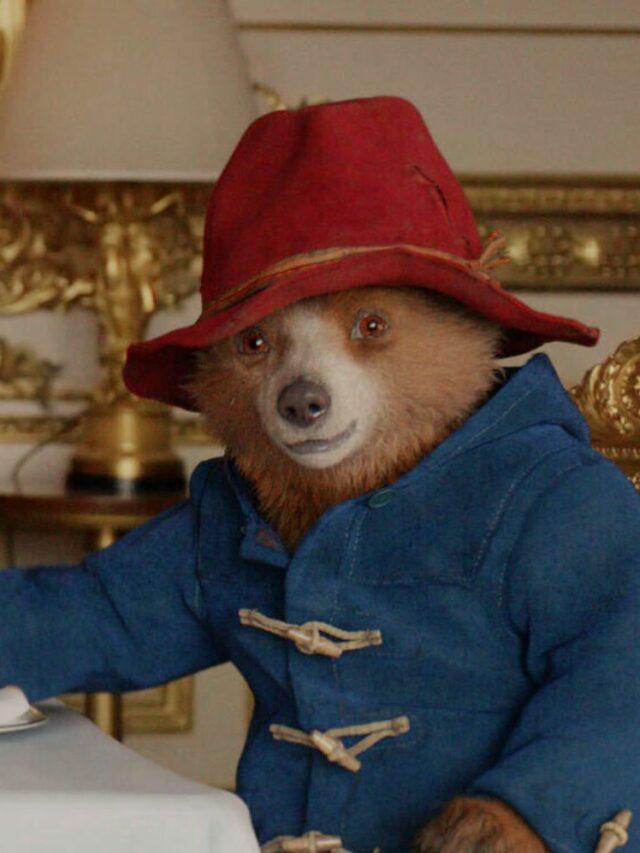 Paddington Bear