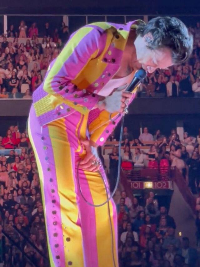 This is the eye-watering moment Harry Styles got hit where it hurts by an object thrown on stage by an over-enthusiastic fan.