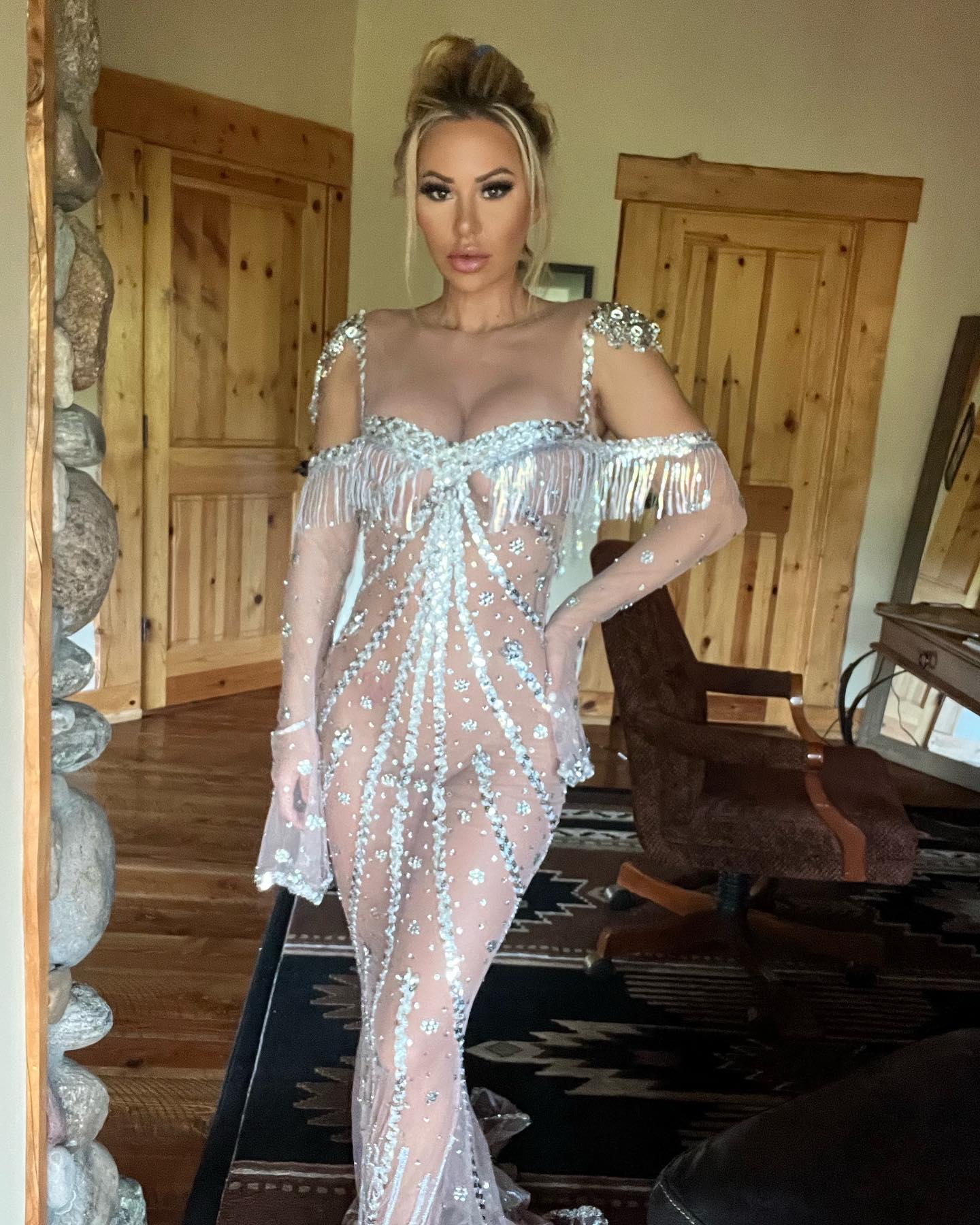 Kindly Myers poses in a see-through gown