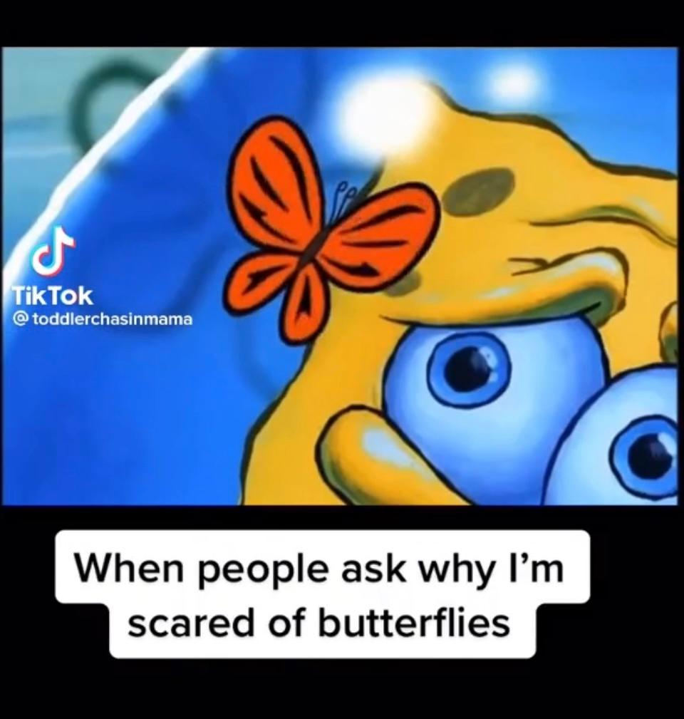 Fear of Butterflies - Toddler Chasin Mama - TikTok