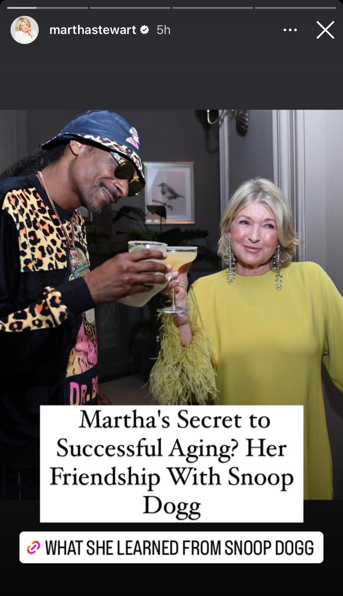 Martha Stewart's post on her Instagram story
