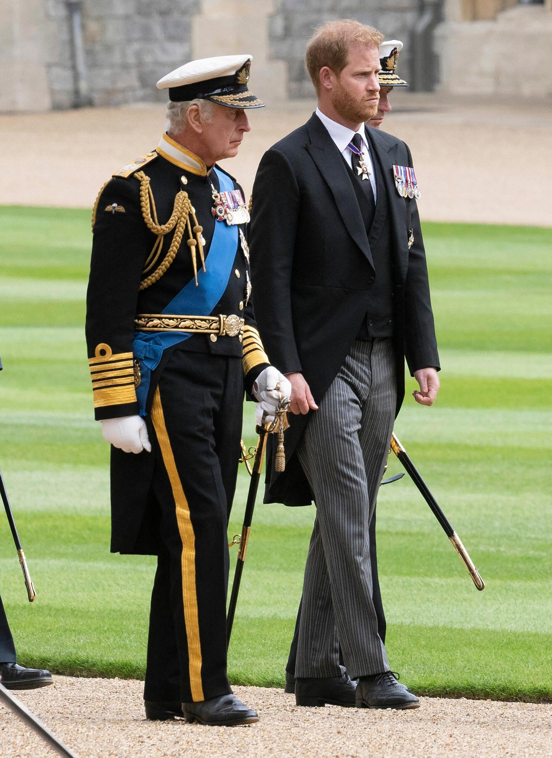 Príncipe Harry, Rei Charles