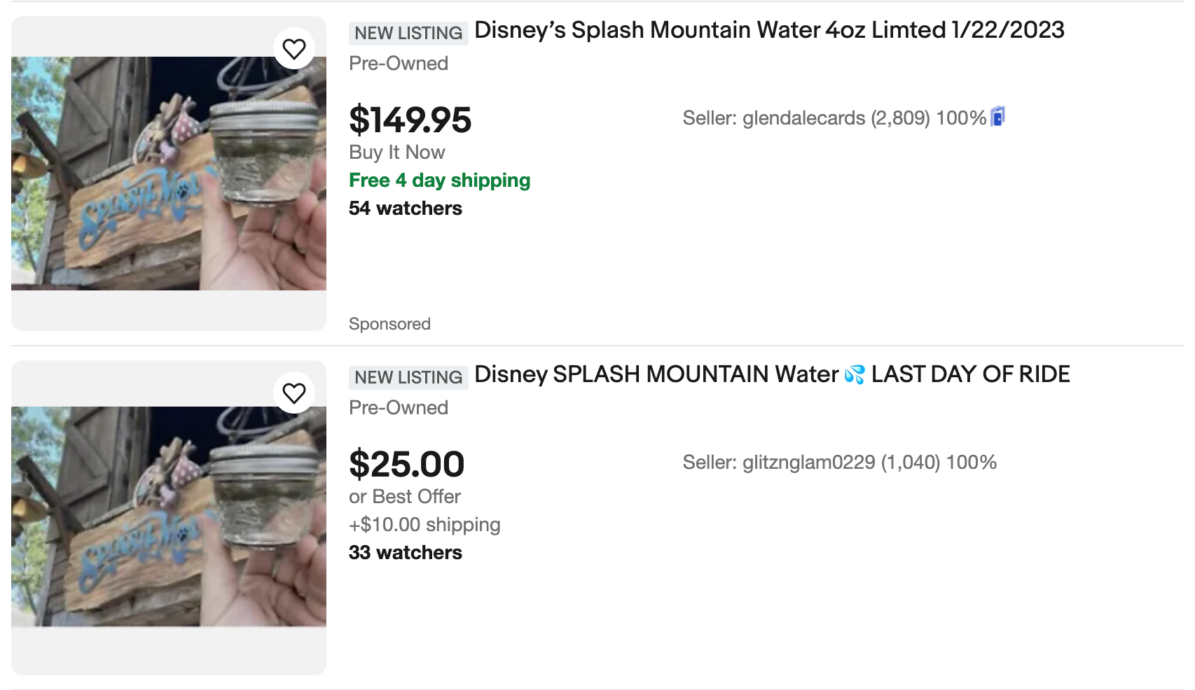 Splash Mountain eBay listing