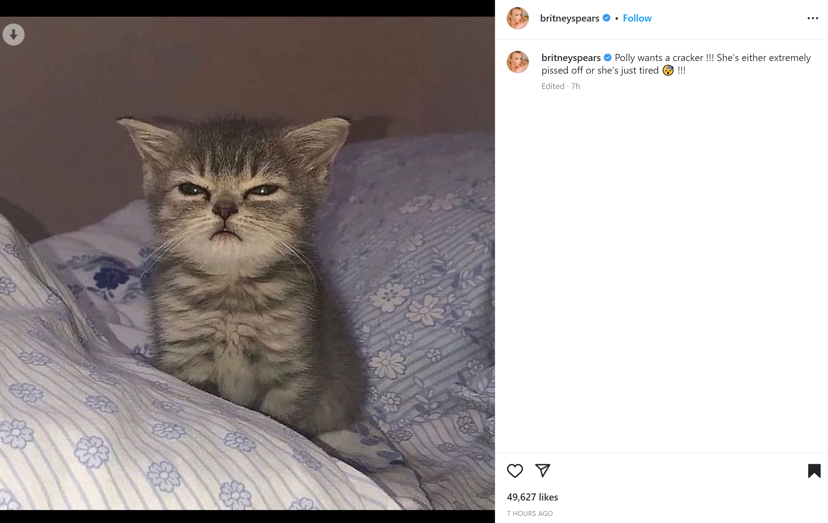 Britney Spears Instagram post on February 2, 2023 that might show a new pet kitten