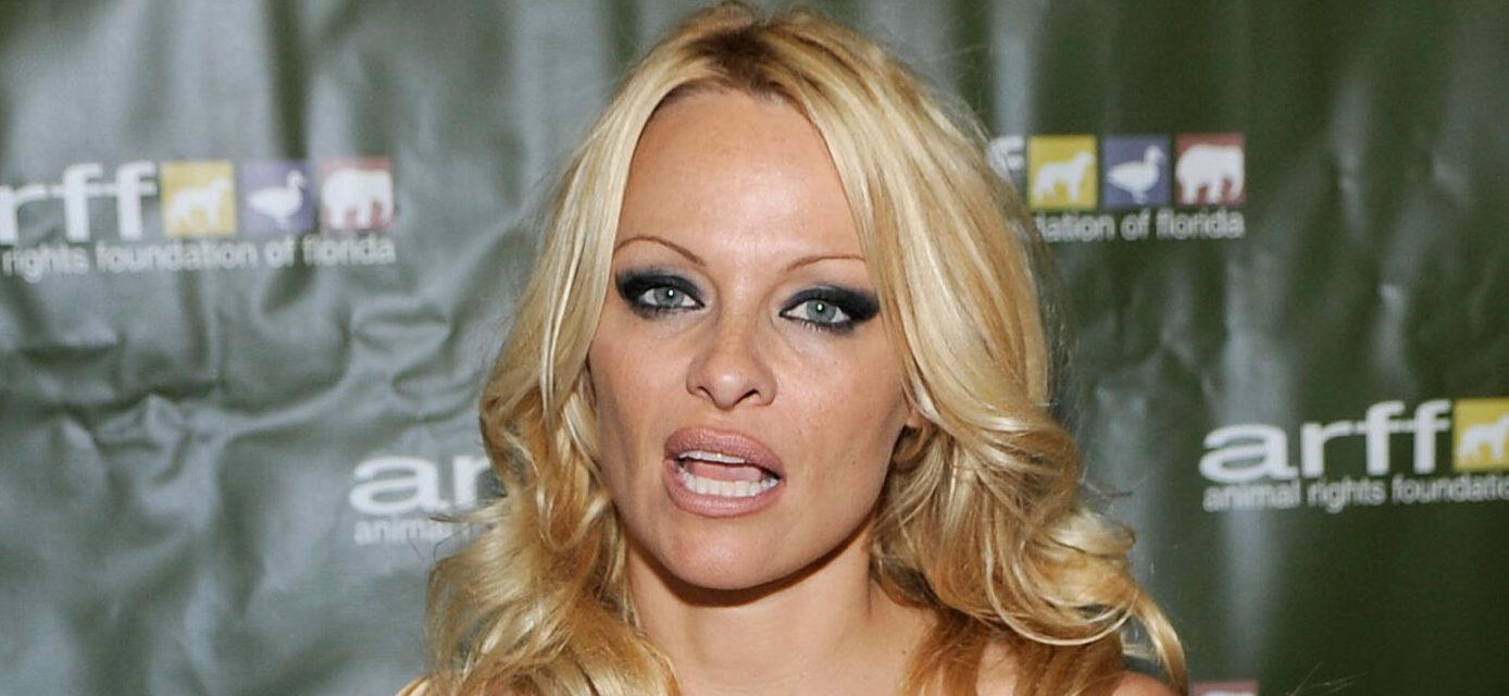 Pamela Anderson wearing a gold dress attends The Animal Rights Foundation 20th Anniversary Gala in Fort Lauderdale
