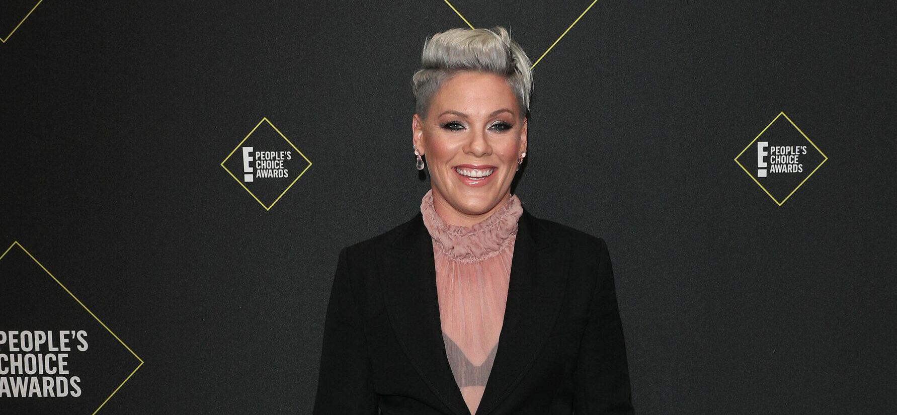Singer Pink at the 45th Annual Peoples Choice Awards In Los Angeles