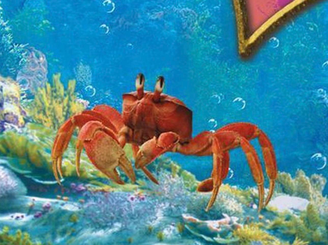 Sebastian in the live-action The Little Mermaid