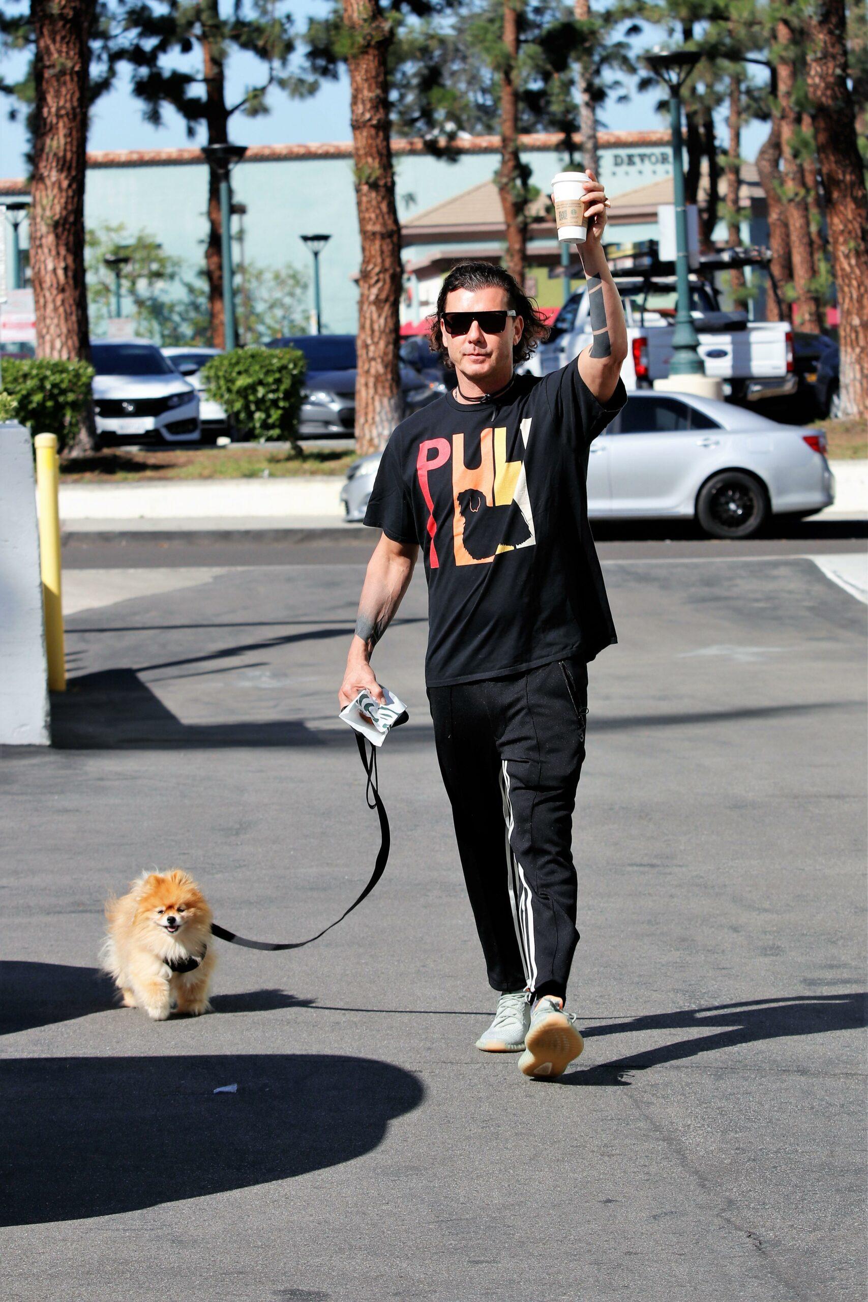 Gavin Rossdale takes his dog for a walk