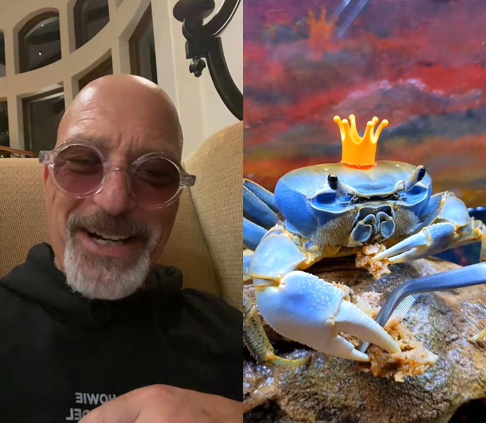 Howie Mandel and Howie the crab on TikTok
