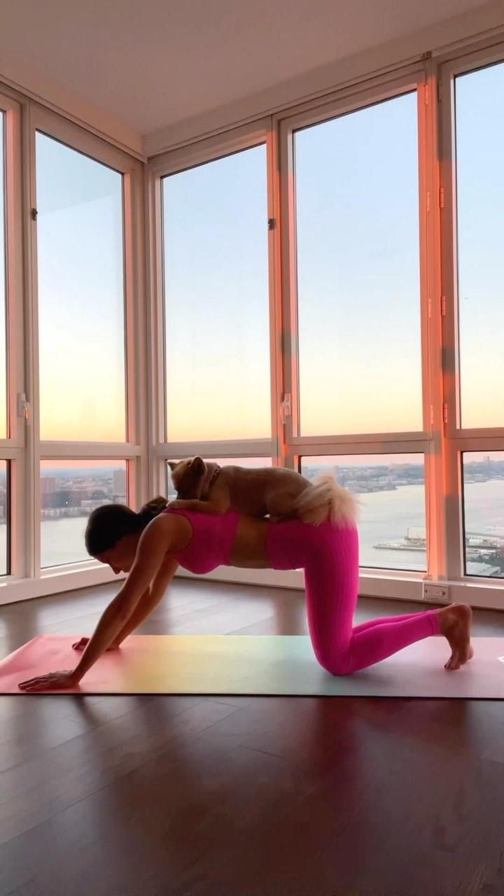 Jen Selter does a plank with Gram on her back 