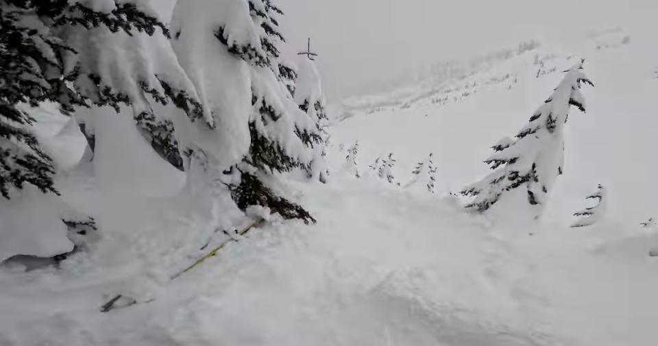 Francis Zuber skiing