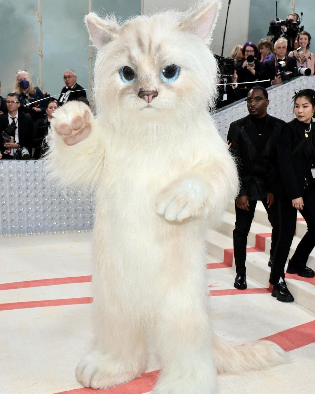 Jared Leto as Choupette at the 2023 Met Gala