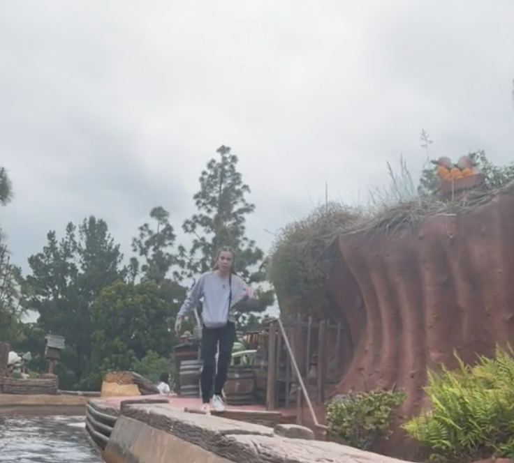 Splash Mountain Fiasco: Guest Jumps Out Of Moving Ride Vehicle