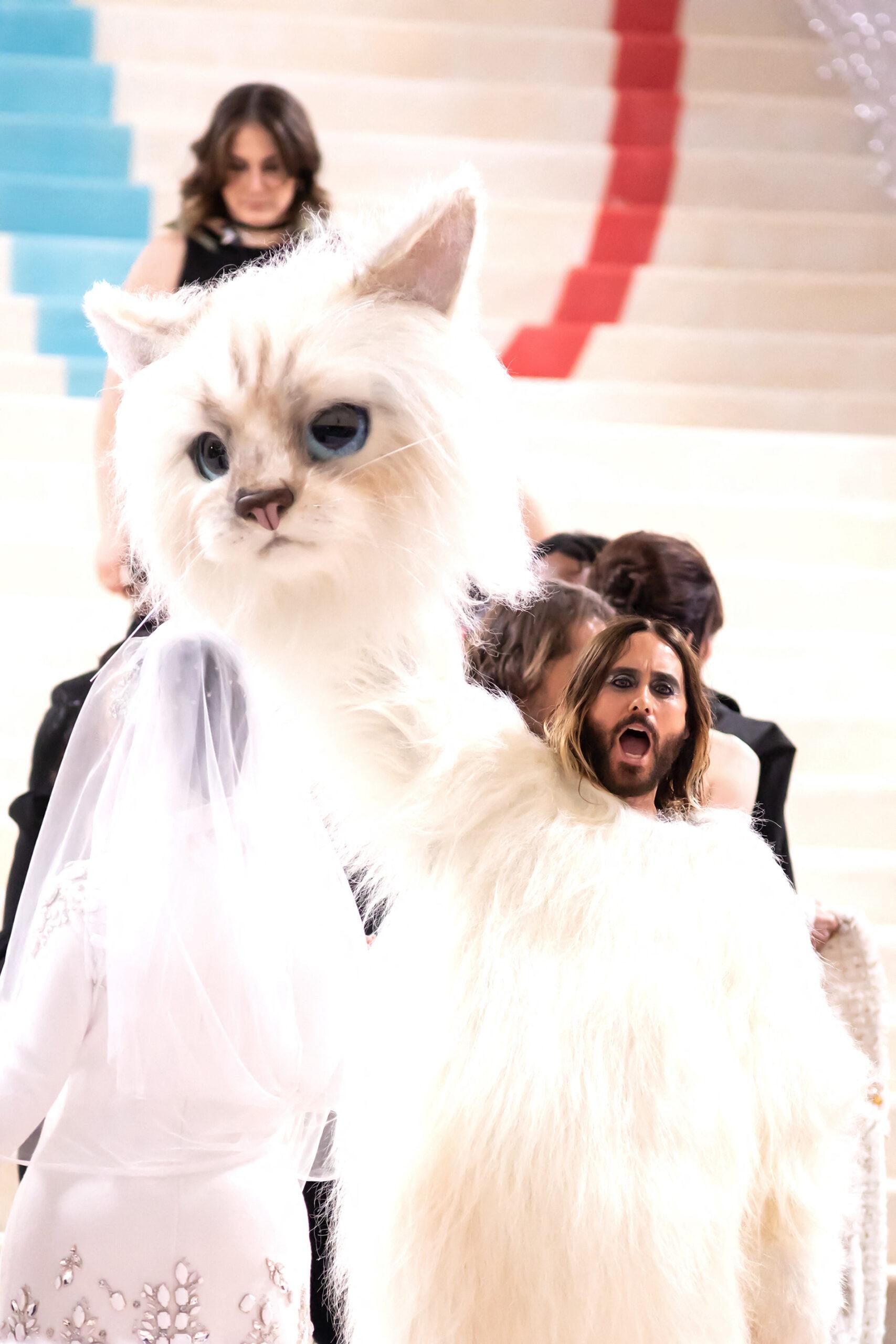 Jared Leto in a cat costume at the 2023 Met Gala