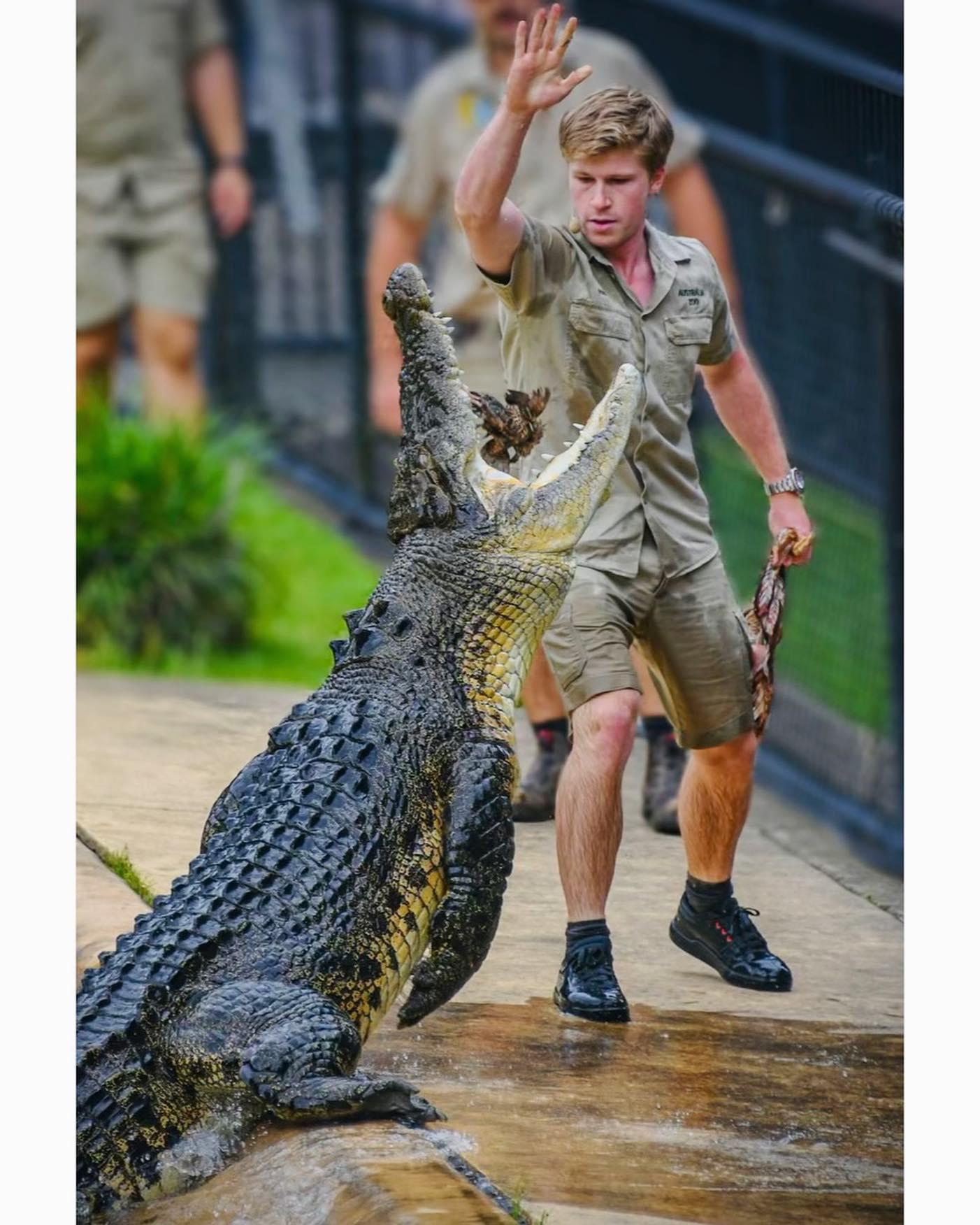 Fans Laud Robert Irwin As 'A Chip Off The Old Block' As He Feeds Daisy The Alligator