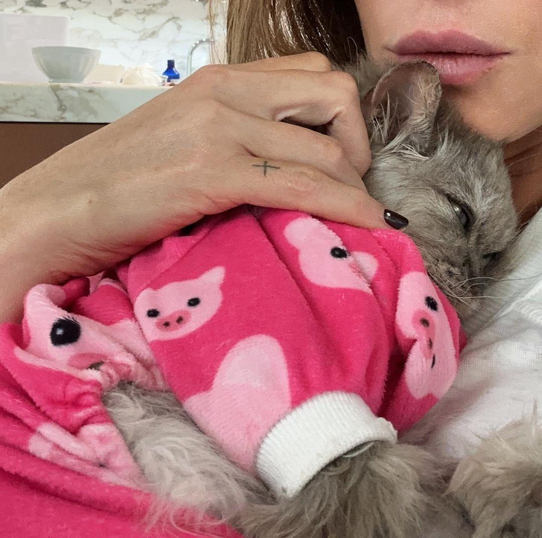 Fans Join Kate Beckinsale To Mourn The Loss Of Her Feline Clive