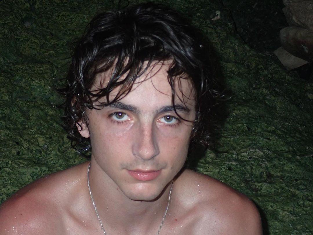 Timothée Chalamet Posts Rare Thirst Trap With Shirtless Swimming Snaps Amid Kylie Jenner Romance Rumors