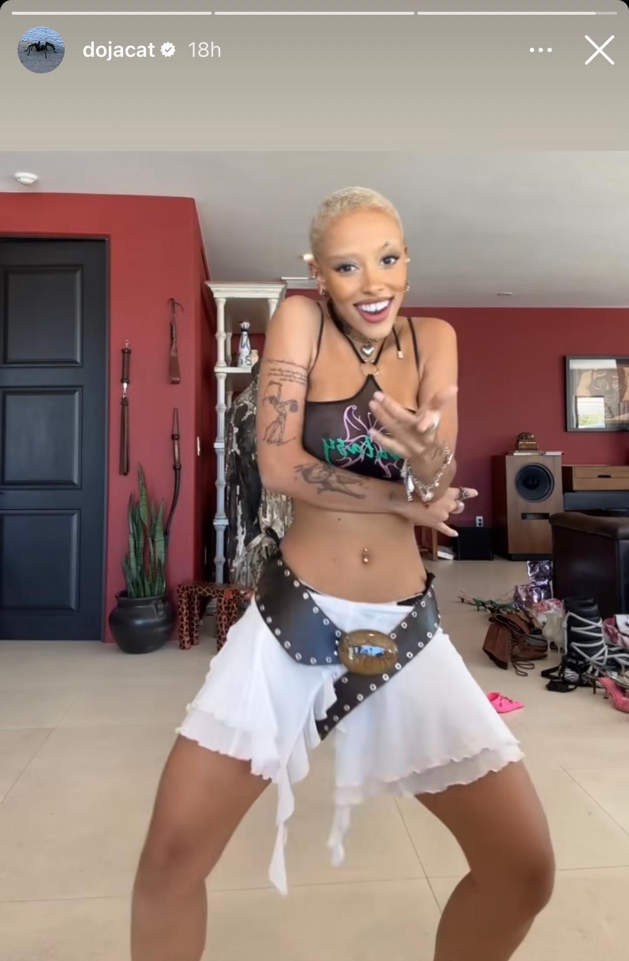 Doja Cat Shows Off Her Dance Move Amid Album Art Release