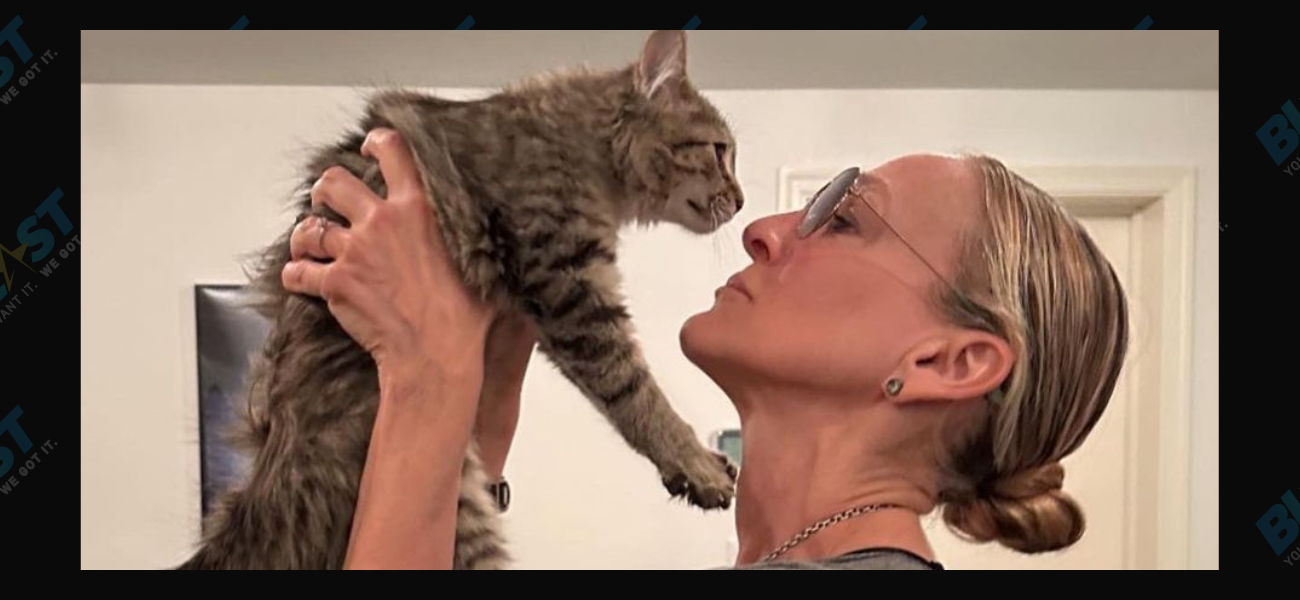 Sarah Jessica Parker adopts 'And Just Like That' cat Shoe aka Lotus for real