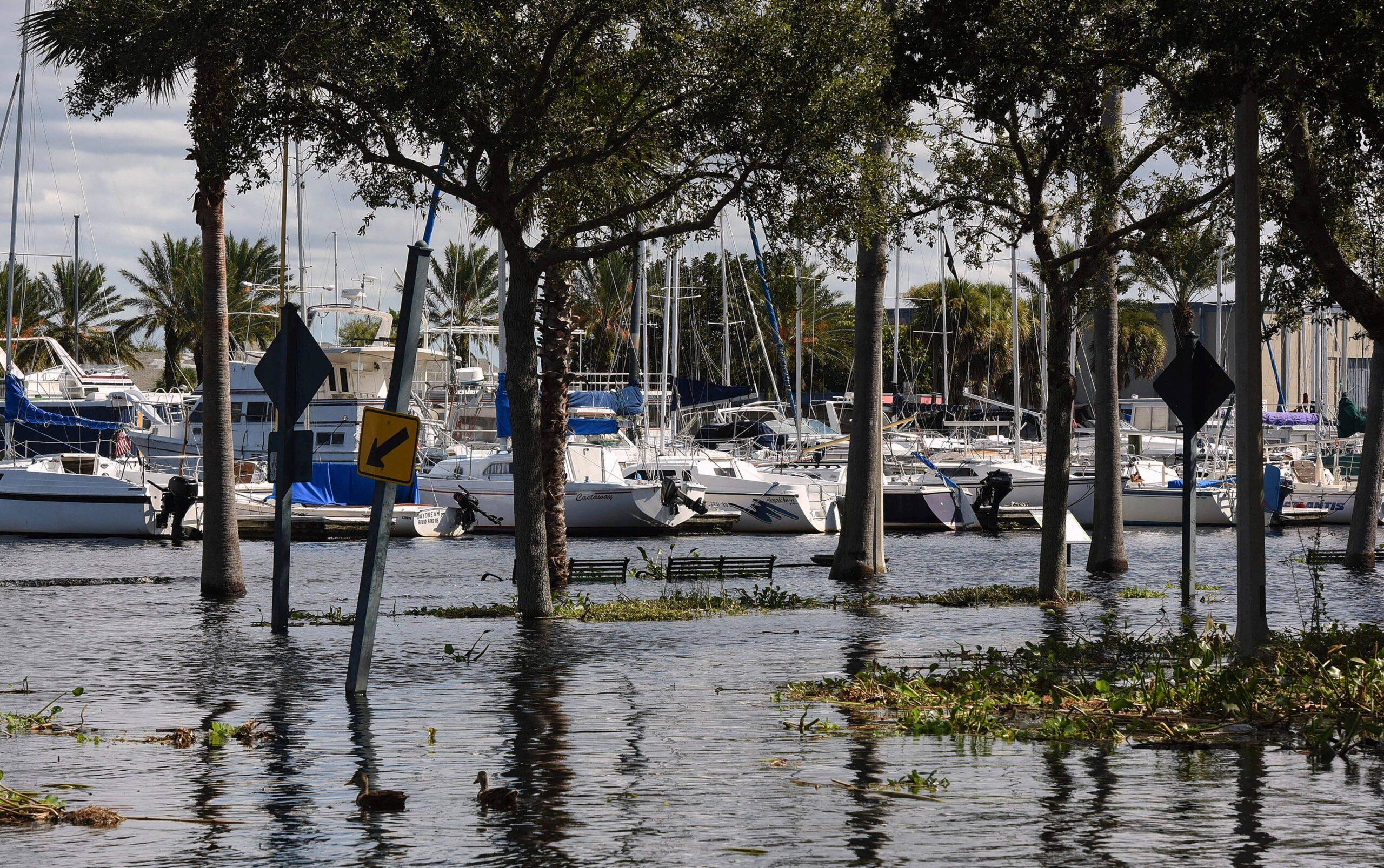 Disney World, Florida Keeps Eye On Newly Formed Tropical Depression